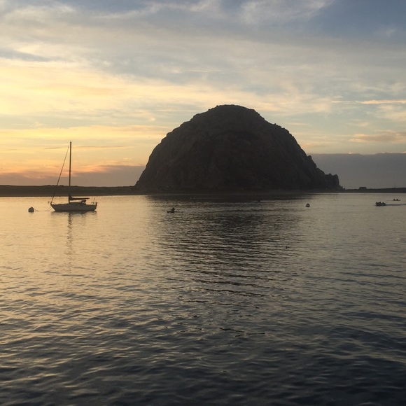 Have questions want to chat? Comment here - Picture 3 of 3